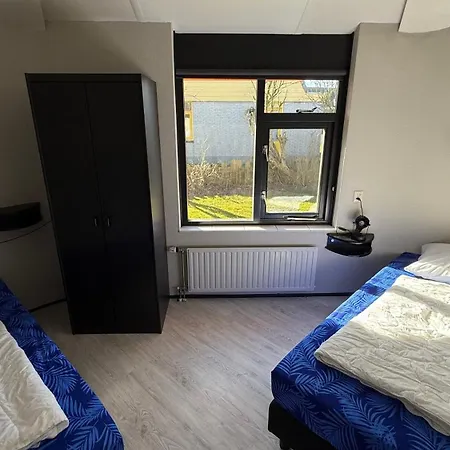 Zeester 055 * De Zandloper